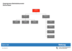 Organigramm Betriebsfeuerwehr Roche Basel
