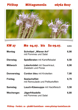 Downloadlink - PitStop Kastellaun