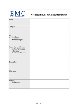 Grobbeurteilung f&uuml;r Jungunternehmer - emc