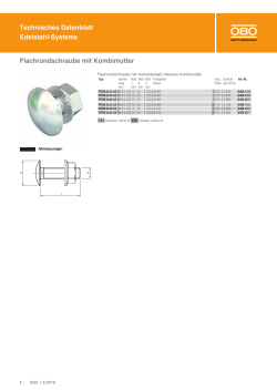 Technisches Datenblatt Edelstahl-Systeme Flachrundschraube mit