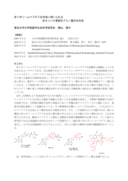 非リボソームペプチド生合成に用いられる 非タンパク質新生アミノ酸の生