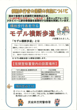 モデル横断歩道