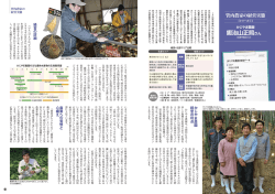 管内農家の経営実態