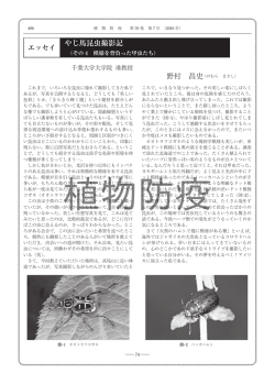 やじ馬昆虫撮影記 - 日本植物防疫協会