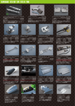 P3. 15F/12F/STX-R/1100 - SE