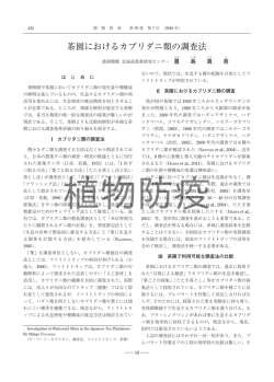 茶園におけるカブリダニ類の調査法
