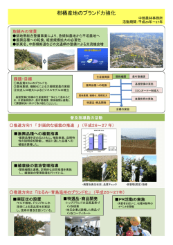 柑橘産地のブランド力強化（PDF：327KB）