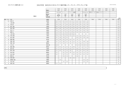2016年度 MFJ全日本モトクロス選手権シリーズシリーズランキング表
