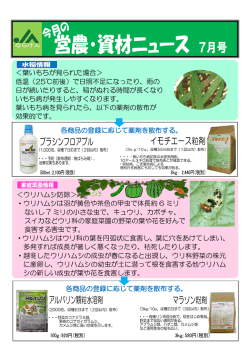 ＜葉いもちが見られた場合＞ 低温（25℃前後）で日照不足になったり、雨