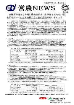 出穂前の穂ばらみ期に降雨日が多いと予想されたら、雨の 合間をぬっ