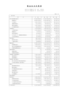 資 金 収 支 計 算 書