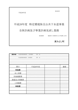 全体計画及び事業計画見直し業務 平成28年度 特定環境