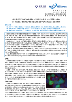 外来遺伝子（DNA）の生細胞への効率的な導入方法の開発に成功