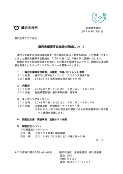 記者会見資料（PDF：29KB）