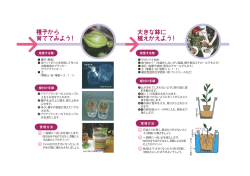 こちらをクリック
