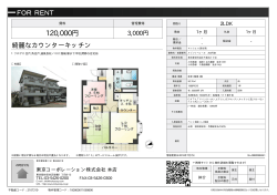 資料PDF - 東京コーポレーション株式会社