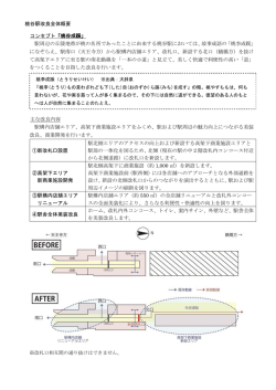桃谷駅改良全体概要 コンセプト「桃谷成蹊」 駅周辺の丘陵地帯が桃の