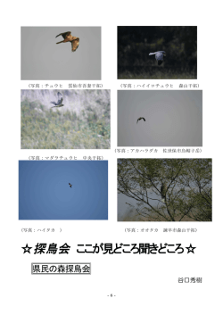 県民の森探鳥会（832KB