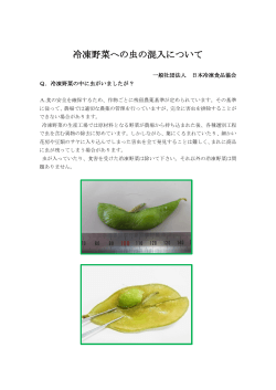 冷凍野菜への虫の混入について - 一般社団法人 日本冷凍食品協会