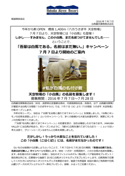 リリースPDF - Digital PR Platform