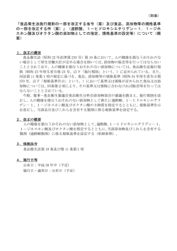 概要（PDF