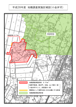 平成28年度 地籍調査実施区域図（小金井Ⅵ）