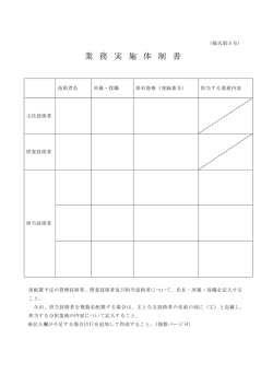 業 務 実 施 体 制 書