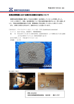 自然史博物館における展示化石標本の紛失について 豊橋市報道発表資料