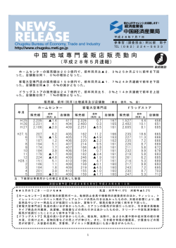中 国 地 域 専 門 量 販 店 販 売 動 向