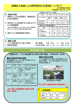 規模拡大推進による野菜産地の生産強化（いちご）