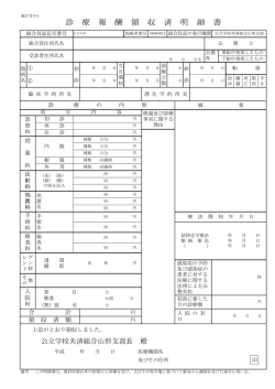 診療報酬領収済明細書