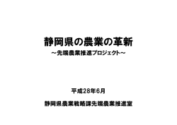 資料（PDF：312KB）