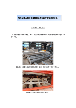 岐阜公園三重塔修復整備工事の進捗報告（第19回）