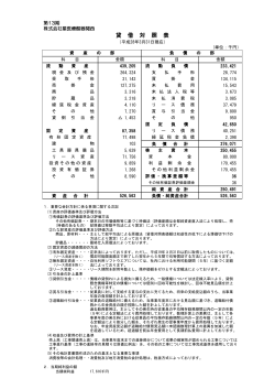 貸 借 対 照 表 - 株式会社星医療酸器