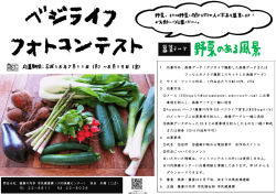 フォトコンテストちらし(PDF文書)