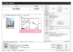 資料PDF
