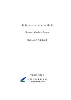 調査結果（全体版）（PDF形式：297KB