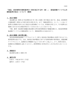 概要（PDF