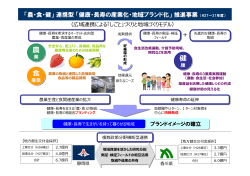 「健康・長寿の産業化・地域ブランド化」推進事業（PDF：138KB）