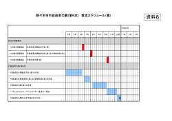 （第6次）策定スケジュール（案）