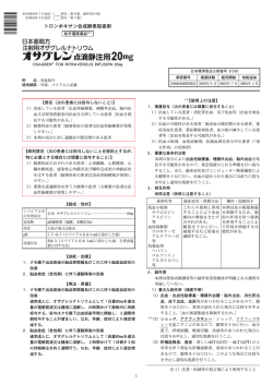PDFファイル