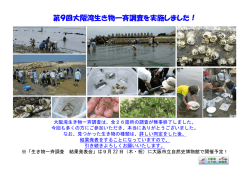 第9回大阪湾生き物一斉調査を実施しました！