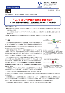 プレスリリースの全文を閲覧する（PDF3頁