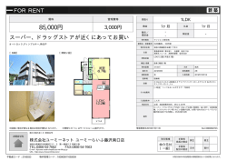 資料PDF