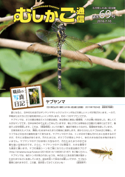 詳しくはこちら（PDF）