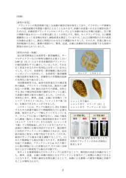 詳細資料