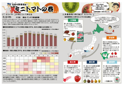 ミニトマト - 東京多摩青果株式会社