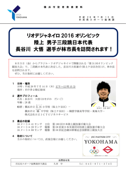 記者発表資料（PDF形式 343KB）