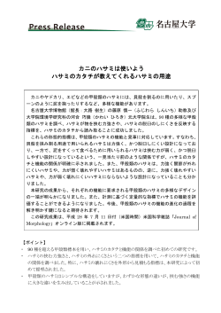 カニのハサミは使いよう ハサミのカタチが教えてくれる