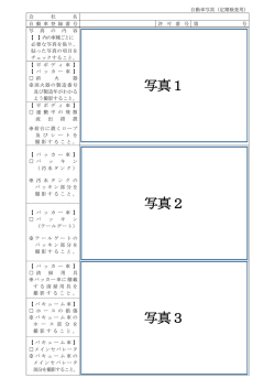 写真貼付様式（定期検査用）（PDF：95KB）